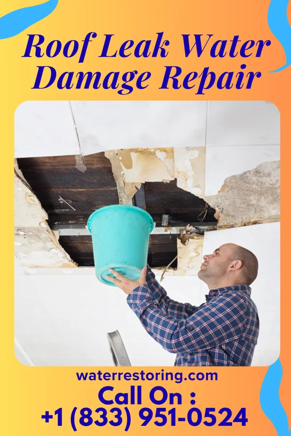 Roof Leak Water Damage Repair in Langleyville, IL